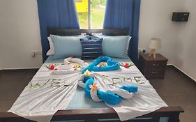 Le Nid De Bea Self-Catering Apartments